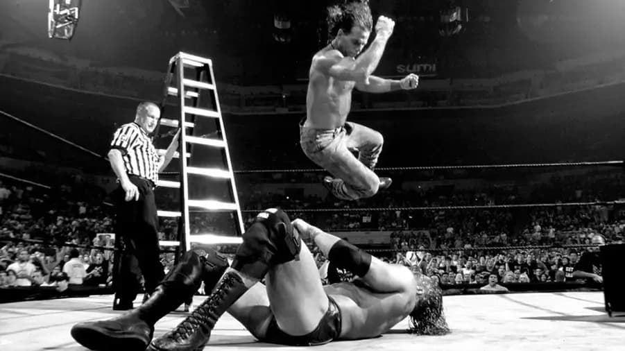shawn michaels triple h summerslam 2002