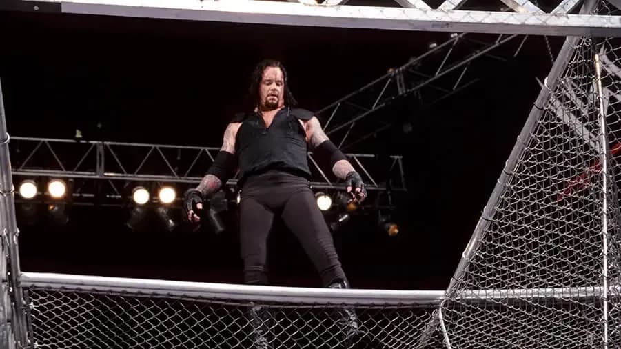 97b65a5f0dc34de87d91481ce7c3ded0402bc6d2 the undertaker hell in a cell