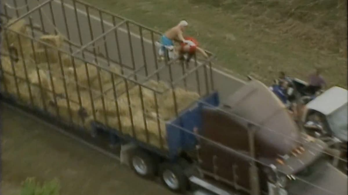 Dustin Rhodes and Blacktop Bully fight in a caged truck filled with hay 