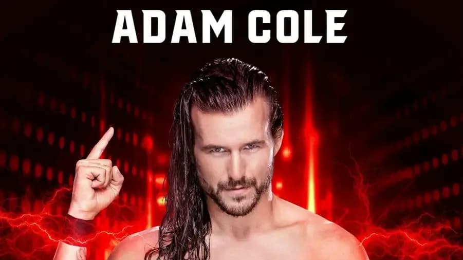 https://cultaholic.com/files/images/3330e475b99aeae47b6049839ea47dd0a0a3774f-adam-cole-wwe-2k19.jpg