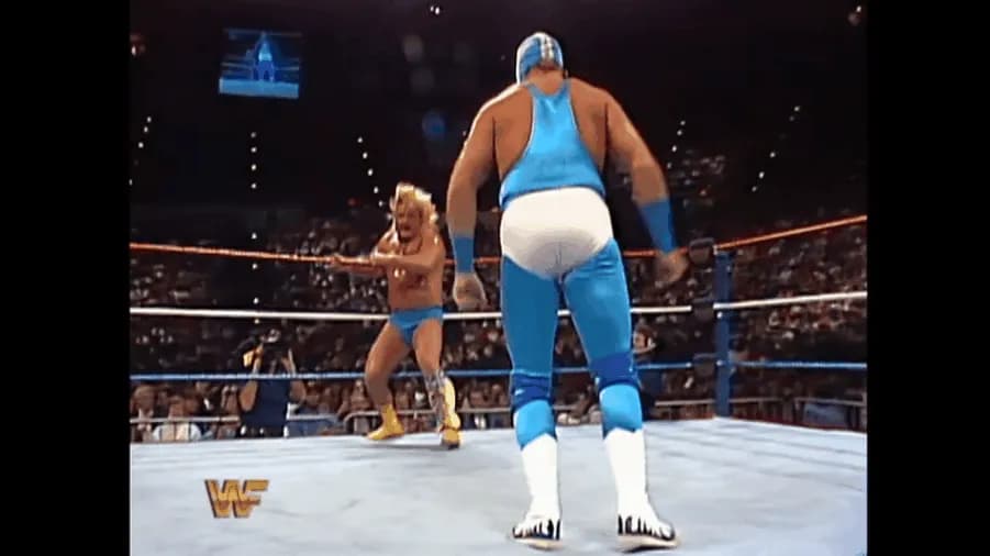 https://cultaholic.com/files/images/fc84938f2b3fc49209e4d21d7419759f7d2fb176-valentine-blue-blazer-survivor-series-1988.gif
